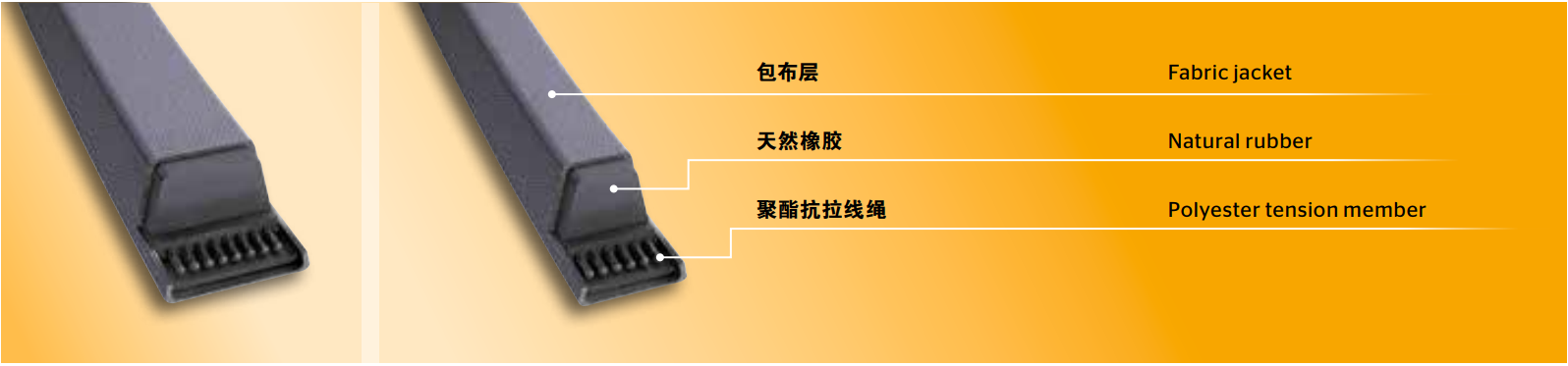 Continental 普通三角带 10/Z