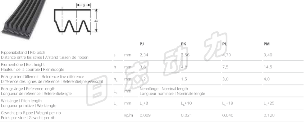 Continental CONTI-V MULTIRIB 橡胶多楔带 PJ